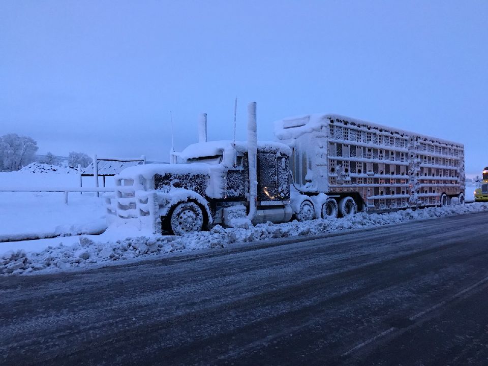 semi driving in snow