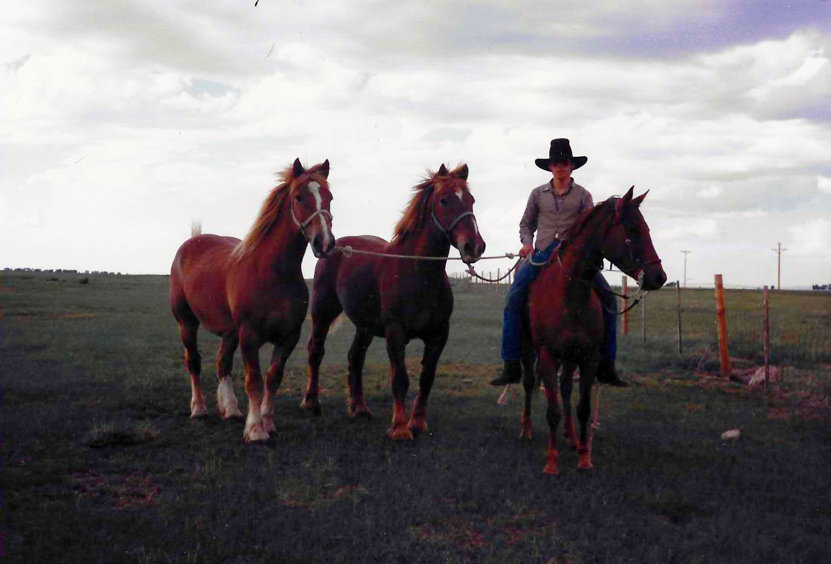 man riding a horse and leading two other horses