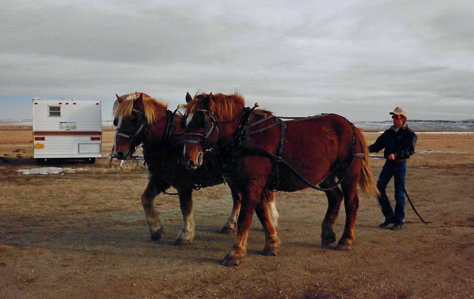 man with team of draft horses
