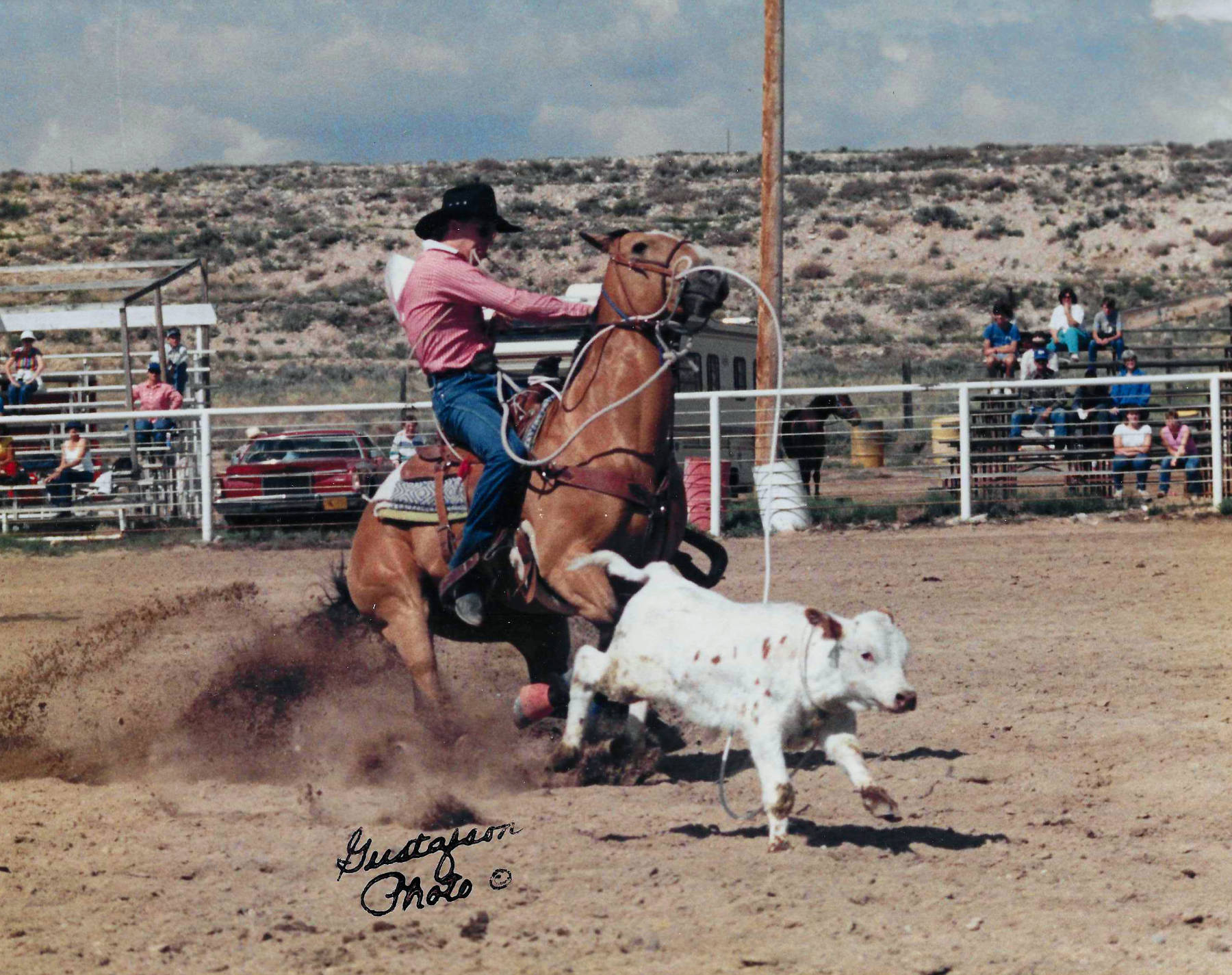 man on a horse roping a calf