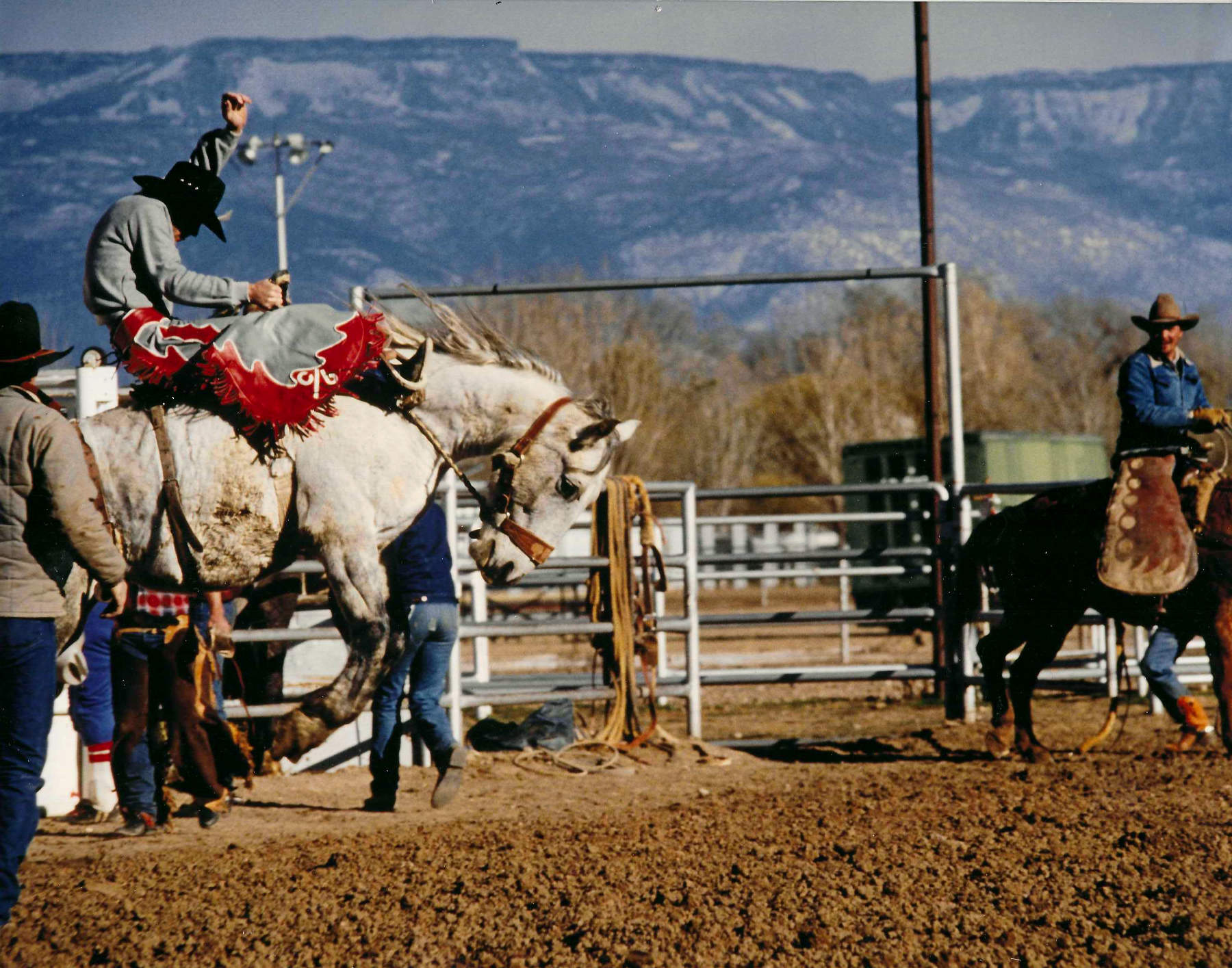man riding a horse at a rodeo