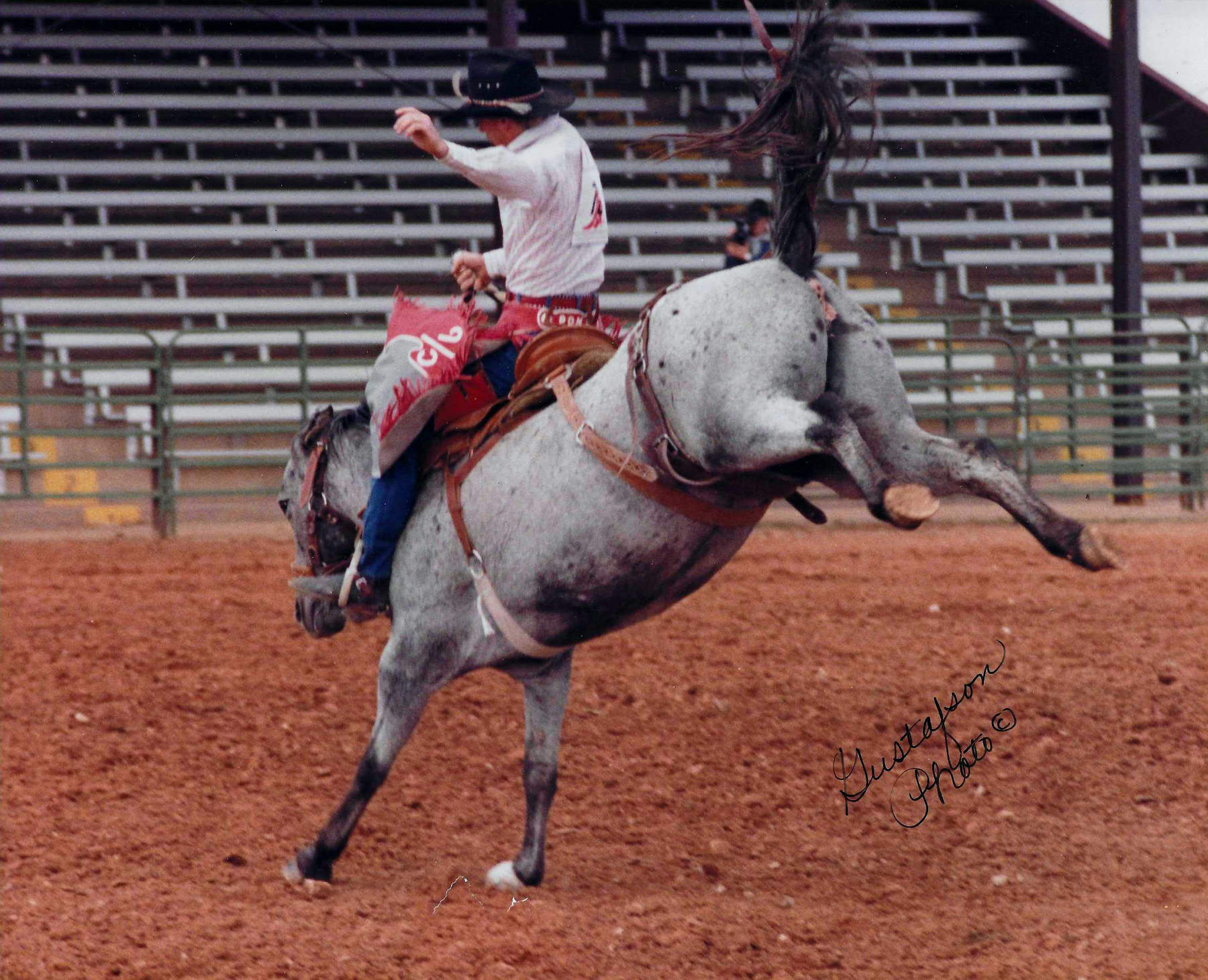 Man riding a gray horse