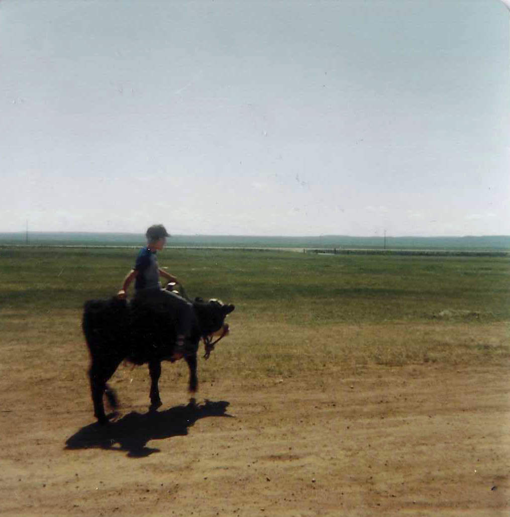 Rogger kiddo riding calf green landscape