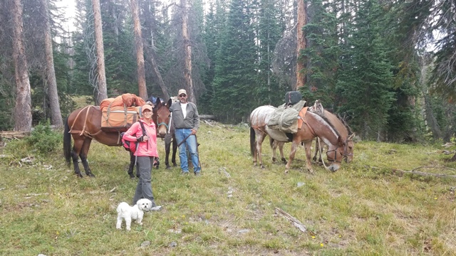 man, woman, and dog with horses