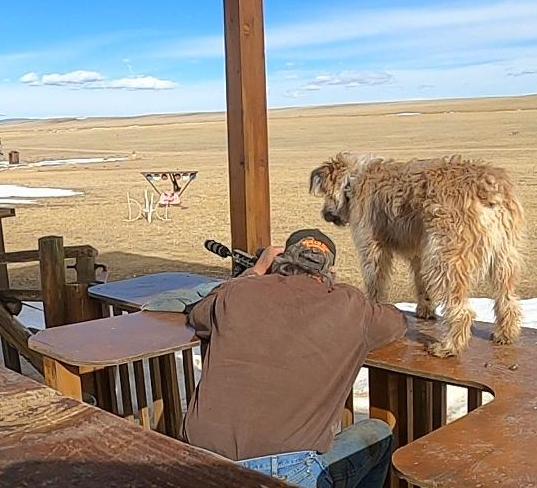 Great Scout at shooting Range