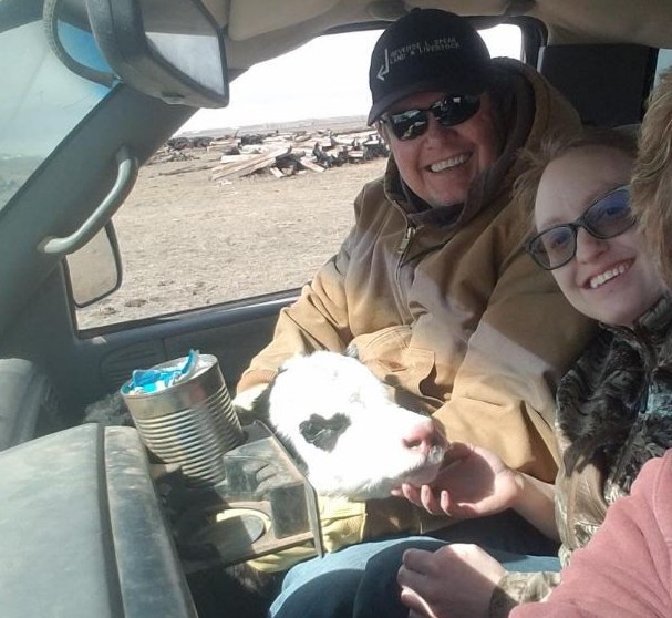 Cow and people in truck