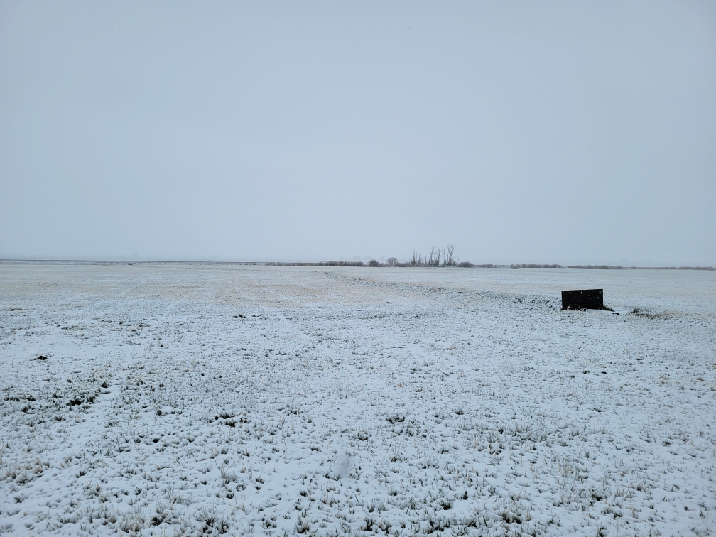 Snow