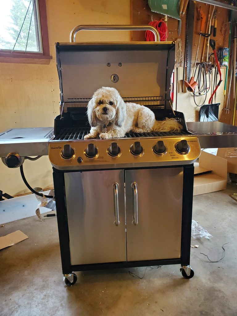 Dog grill