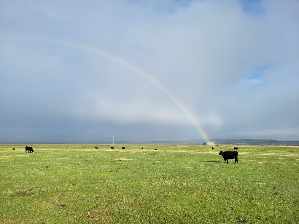Rainbow