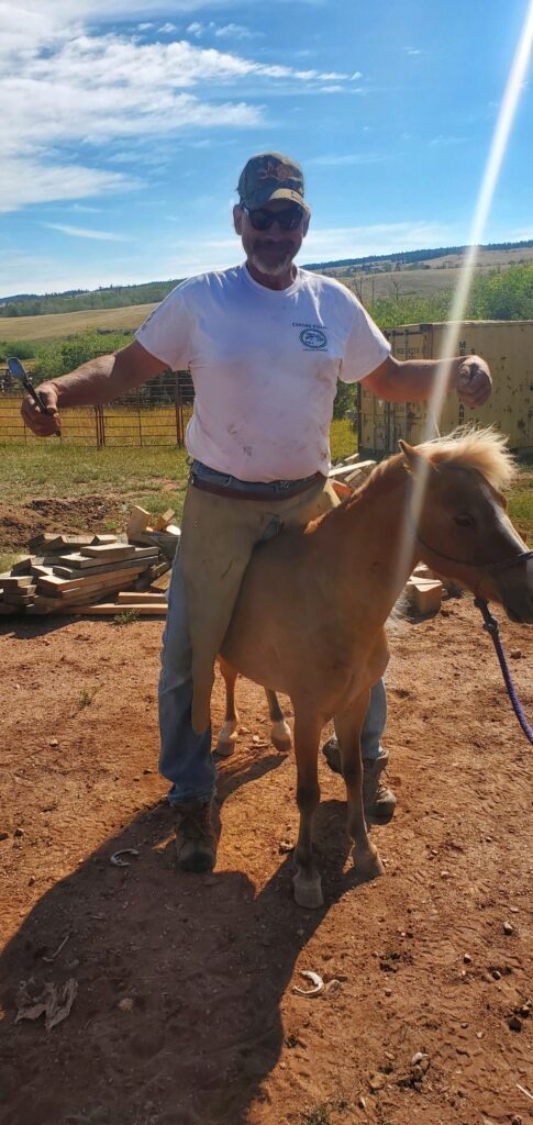 Great Scout on Tiny Horse
