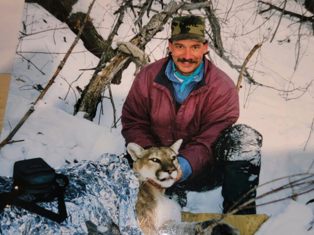 Great Scout, Mountain Lion