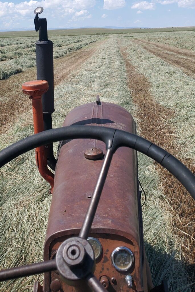 Hay