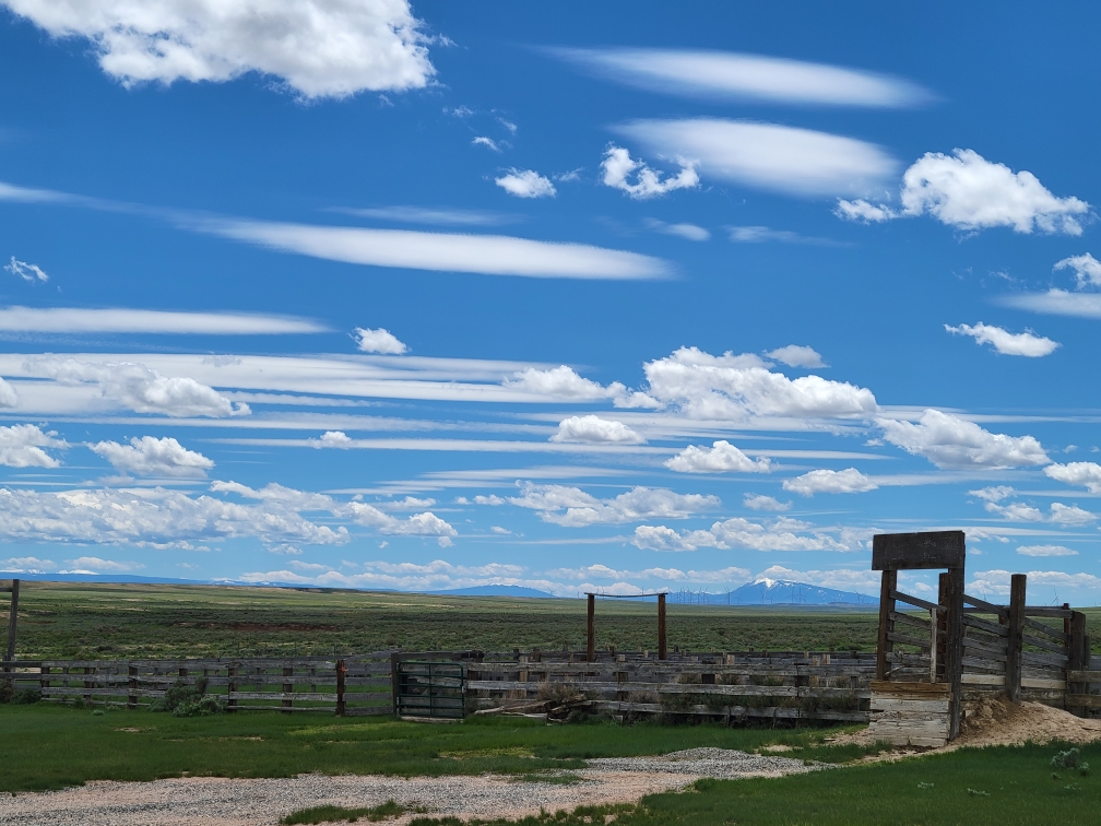 Resized 20220602