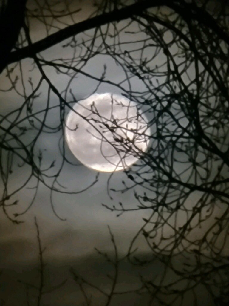 Imagejpeg (2)