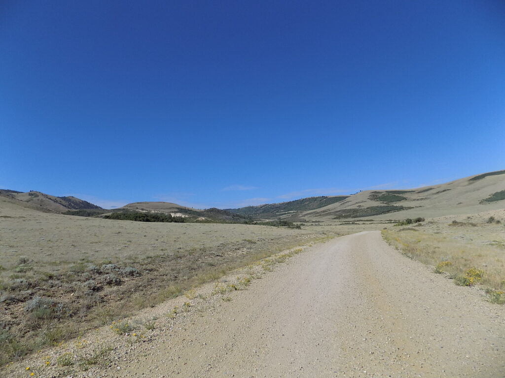 ROAD IN SUMMER